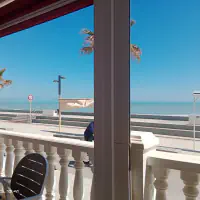 Abanico del Mar - Imagen 1