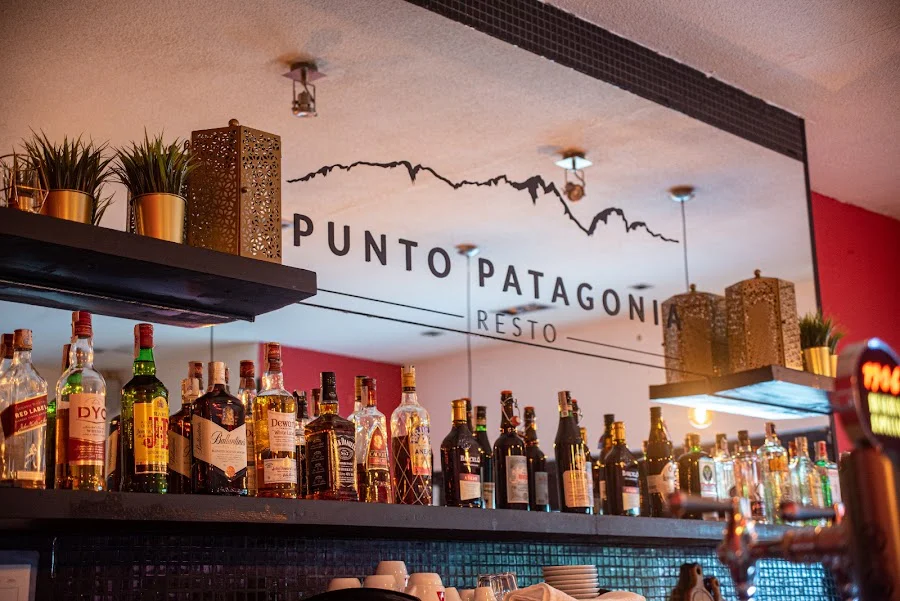 PUNTO PATAGONIA - Imagen 3